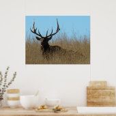 E26 ワイルドな雄の鹿が茂みに横たわる ポスター (キッチン)