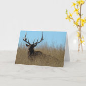 E26 大きな鹿が草むらに横たわる カード (黄色い花)