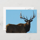 E27ブルエルクスカイライニング ポストカード (正面/裏面)