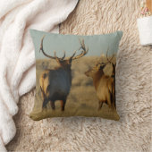 E28ブルエルク クッション (ブランケット)