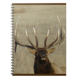 E29ブルエルクヘッドショット ノートブック