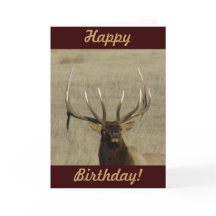 E29ブルエルク岬