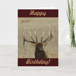 E29ブルエルク岬 カード