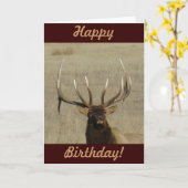 E29ブルエルク岬 カード (黄色い花)