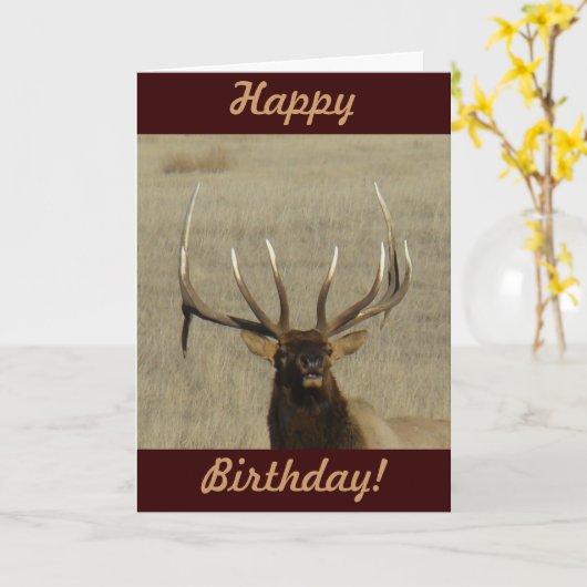 E29ブルエルク岬 カード (黄色い花)