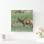 E3カウエルクとカーフノーズを鼻に スクエア壁時計 (ホーム)