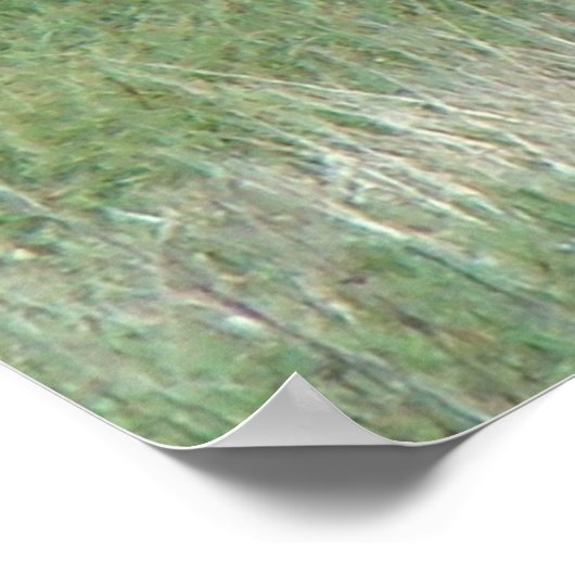 E3カウエルクとカーブ ポスター (角)