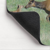 E3カウエルクとヤング マウスパッド (コーナー)