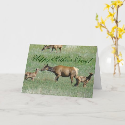 E3牛のエルクと仔牛 カード (黄色い花)