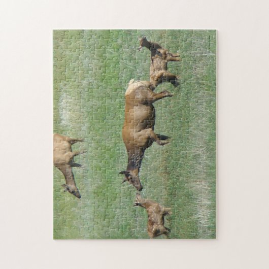 E3牛のエルクと子牛の鼻へ ジグソーパズル (縦)