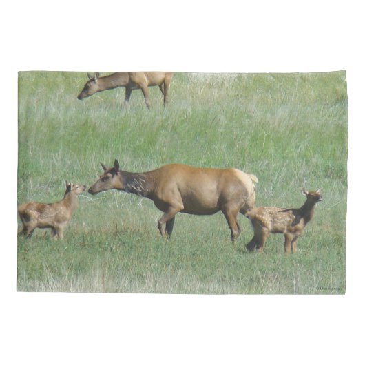 E3牛のエルクと子牛の鼻へ 枕カバー (裏面)