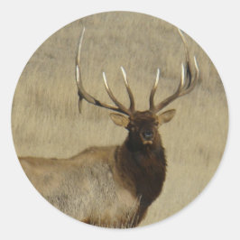 E30ブルエルクビッグブル ラウンドシール