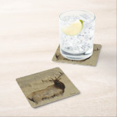 E30ブルエルク スクエアペーパーコースター (インサイチュ)