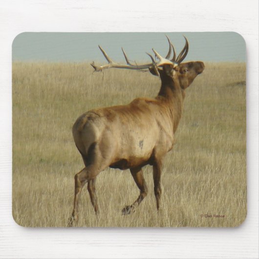 E35 オスのヘラジカの角に生える草 マウスパッド (正面)