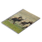 E36 Elk Herdアットウォーターホール ノートブック (左側)