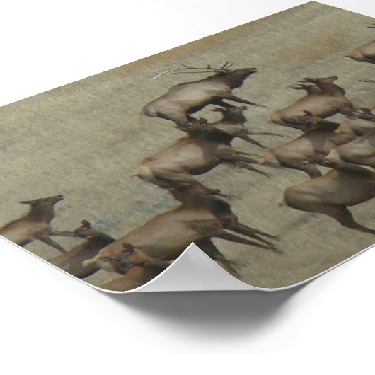 E37ブルエルクと牛 ポスター (角)