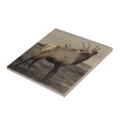 E39 オスのヘア鹿の鳴き声 タイル (側面)