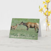 E3a牛のエルクと子牛の鼻から鼻へ カード (黄色い花)