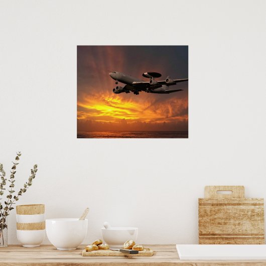 E3D Sentry ZH102 ポスター (キッチン)