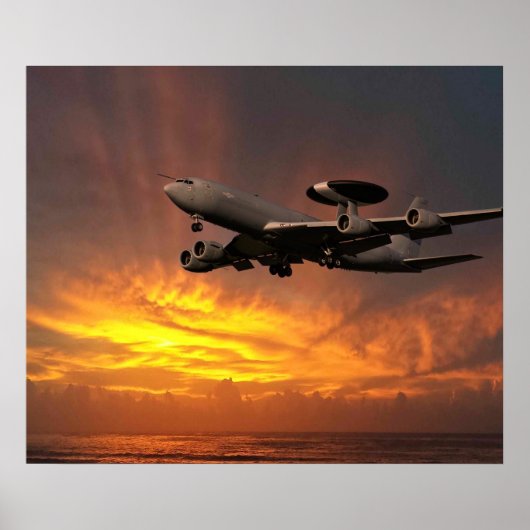 E3D Sentry ZH102 ポスター (正面)