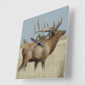 E4ビッグブルエルク スクエア壁時計 (傾斜)