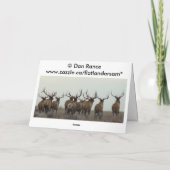 E4ブルエルクヘックブル カード (裏面)