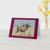 E4ブルエルクヘックブル カード (黄色い花)