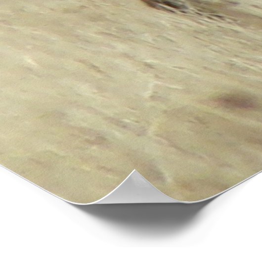 E4ブルエルクヘルドボス ポスター (角)