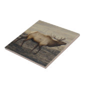 E40ブルエルクブグリング タイル (側面)