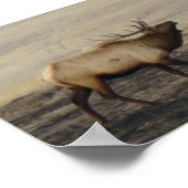 E40 バルエ鹿の鳴き声 ポスター (角)