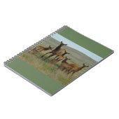 E44カウエルクとカーブ ノートブック (左側)