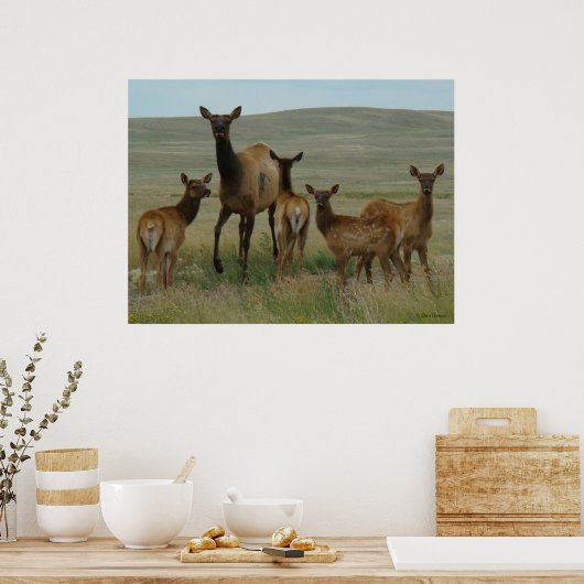 E44カウエルクとカーブ ポスター (キッチン)