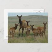 E44カウエルクとカーブ ポストカード (正面/裏面)