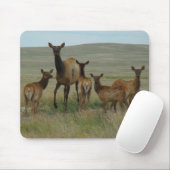 E44牛オオシカおよび子牛 マウスパッド (マウス)