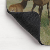 E44 シカの雌と子鹿 マウスパッド (コーナー)