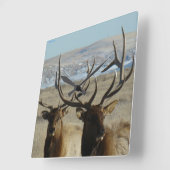 E45 Bullのオオシカは閉まります スクエア壁時計 (傾斜)