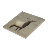 E46ブルーエルク ビッグブル タイル (側面)