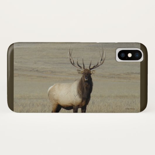 E46 アメリカオスのヘ鹿 Case-Mate iPhoneケース (裏面(横))