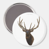 E48 Bull Elk Head in Velvet マグネット (正面/裏面)