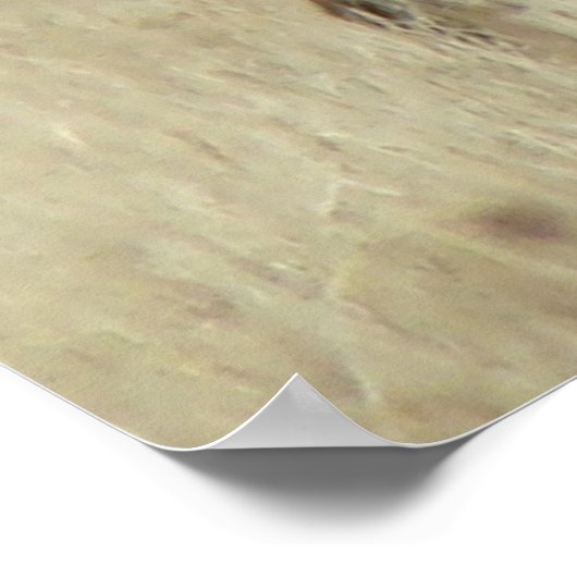 E4 Bull Elk Herd Master ポスター (角)