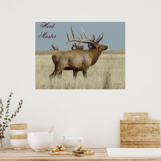 E4 Bull Elk Herd Master ポスター (キッチン)