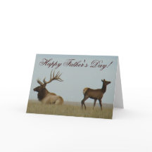 E5ブルエルクとイヤーリング