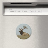 E5ブルエルクビッグブル マグネット (インサイチュ (食洗機))