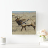 E55ブルエルク スクエア壁時計 (ホーム)