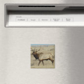 E55ブルエルク マグネット (インサイチュ (食洗機))