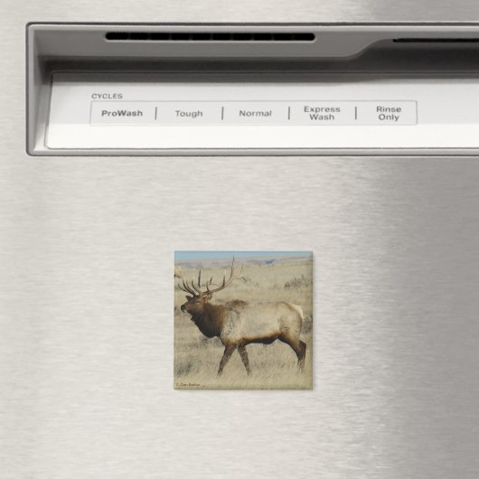 E55ブルエルク マグネット (インサイチュ (食洗機))