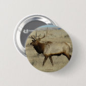 E55ブルエルク 缶バッジ (正面&裏面)