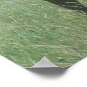 E56 Bull Elk in Velvet ポスター (角)