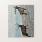 E57 Bullのオオシカ幸運な13 Bull ジグソーパズル (縦)