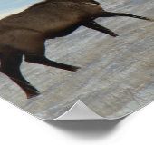 E57 Bull Elk Lucky 13ブル ポスター (角)